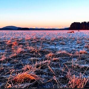 Reasonable offers welcome!